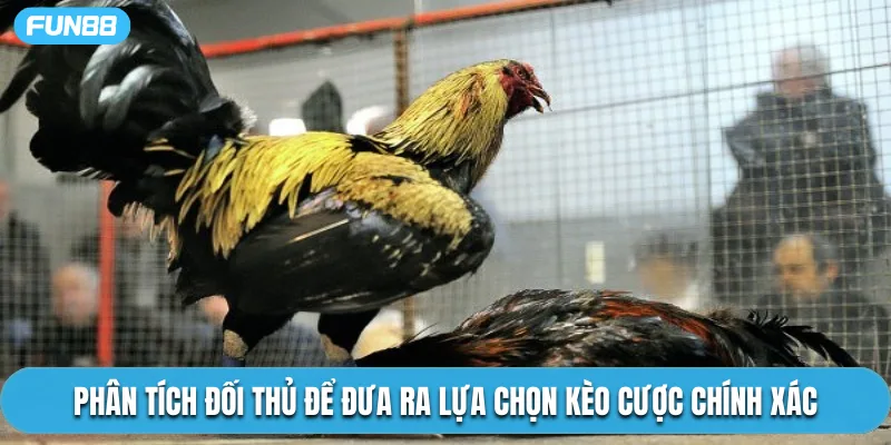 Phân tích đối thủ để đưa ra lựa chọn kèo cược chính xác